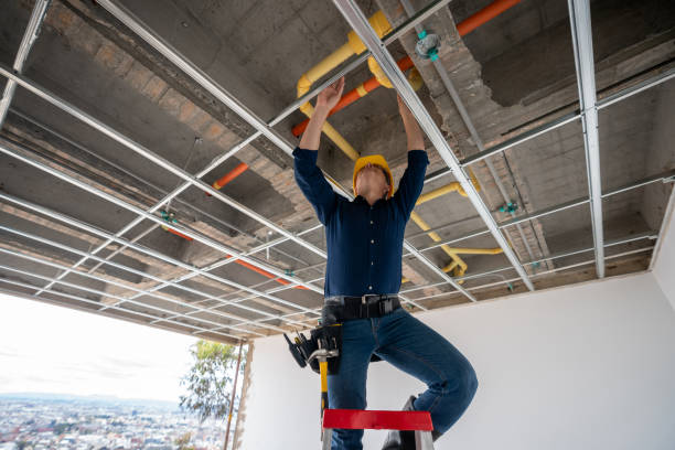 Best Clogged Drain Plumber  in Denton, TX